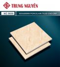 Gạch bán sứ bóng 60x60 TN MZ6609